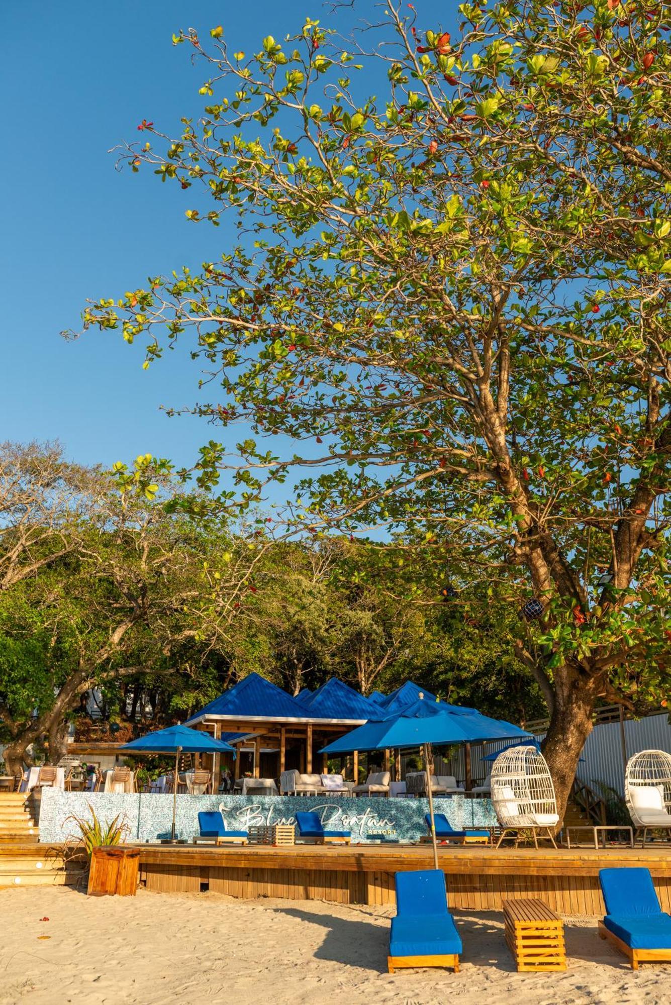 Blue Roatan Resort ウェスト・ベイ エクステリア 写真