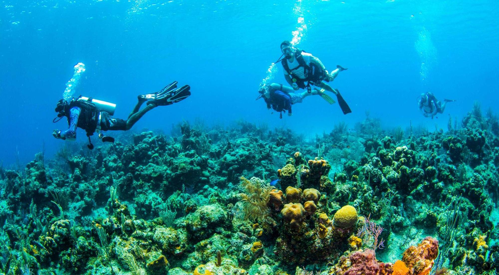 Blue Roatan Resort ウェスト・ベイ エクステリア 写真