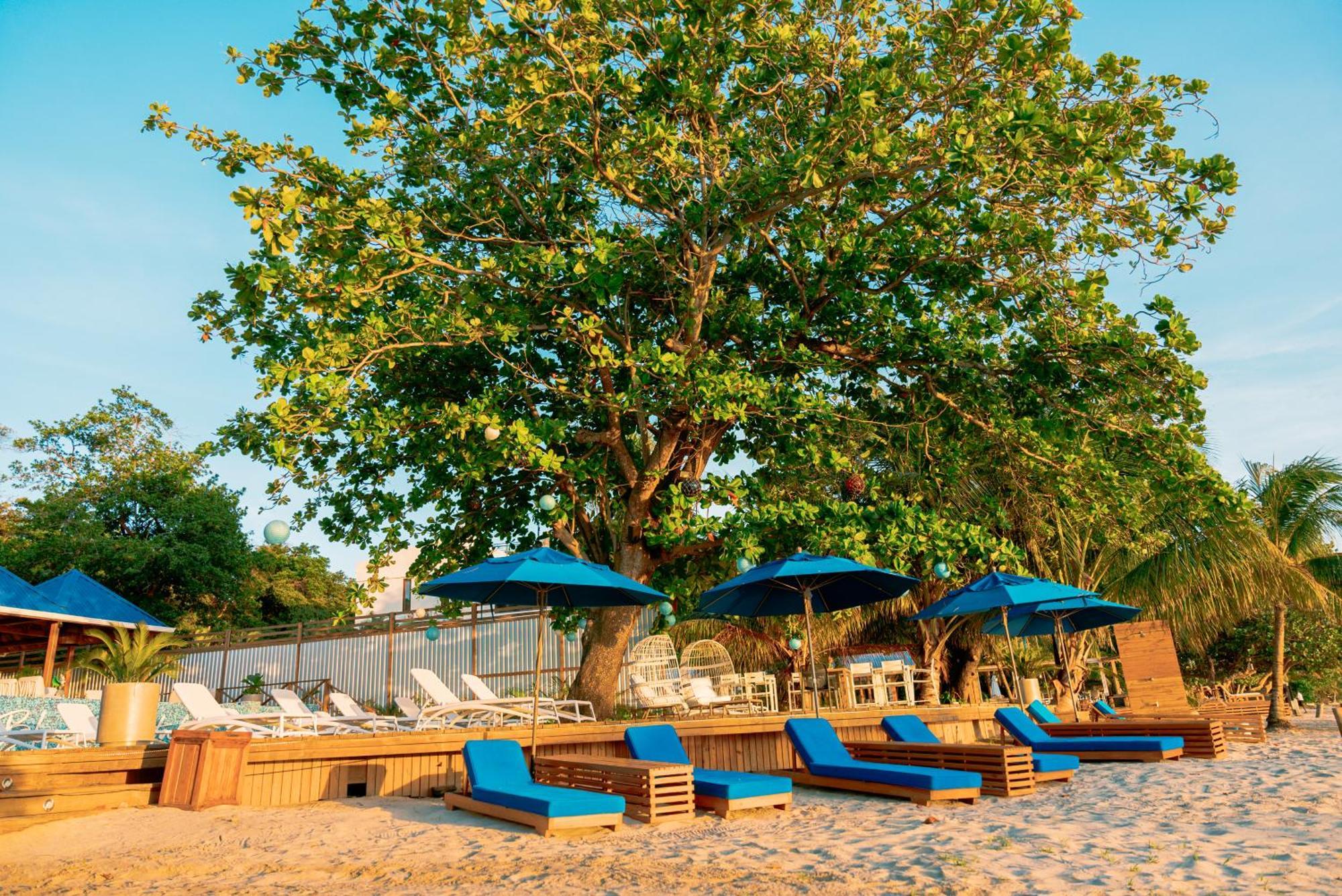 Blue Roatan Resort ウェスト・ベイ エクステリア 写真
